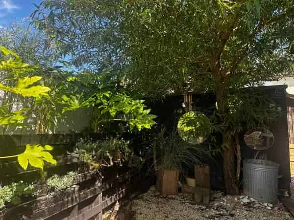 Charming 2-Bedroom Bungalow in Totnes Town Centre - Immediate Swap