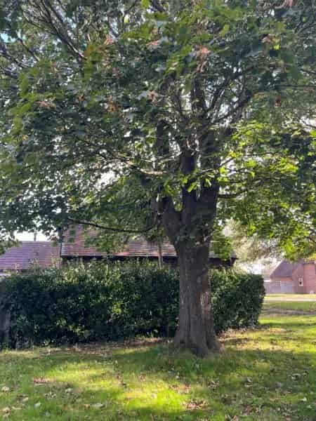 2-Bed House near Beaches and Amenities - Seeking Exchange to St Ives