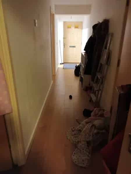 Flat For Rent , London, England