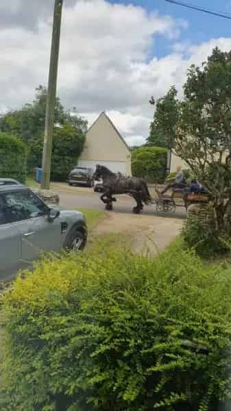 Rural Bungalow with Wet Room and Private Drive Near M40