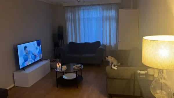 Large 3 Bed Property Needs Work Fixer Upper