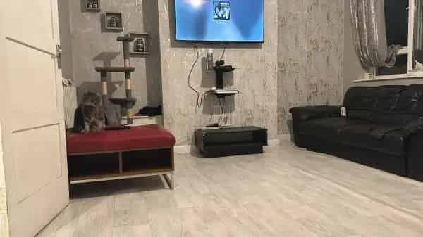 2 Bed Flat New Cross Lewisham Pets Allowed Close to Stations
