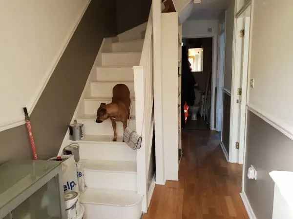 House For Rent in London, England