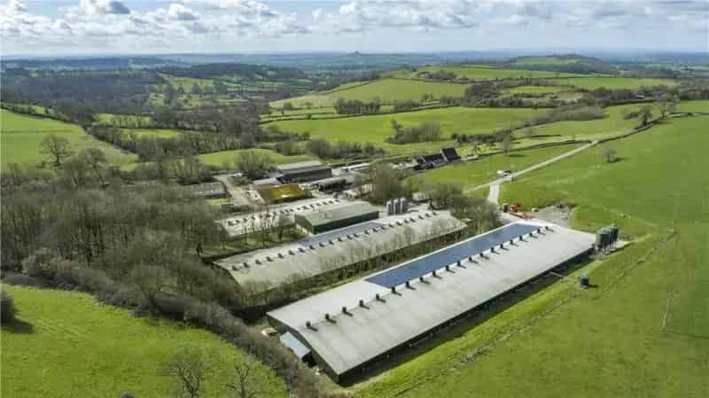 Residential Farm with Broiler Unit and Extensive Outbuildings