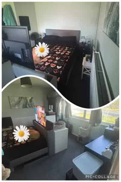 1 Bedroom Semi Detached Bungalow Ulcombe ME17 Pet Friendly