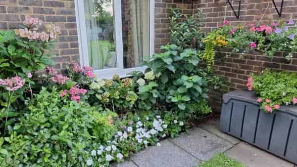 Flat For Rent , Reigate and Banstead, England