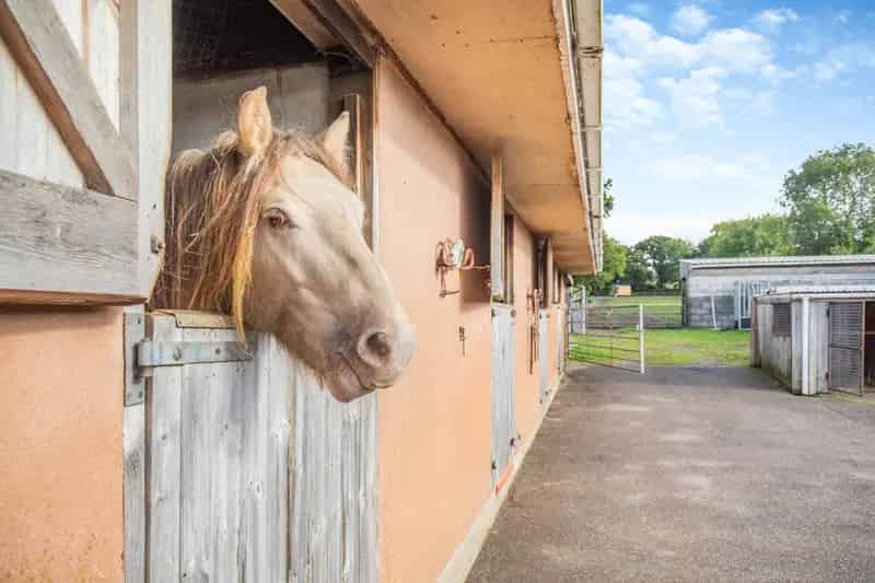 Equestrian Home with 6.5 Acres and Bungalow Planning Consent