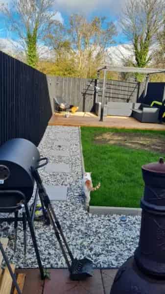 3 Bed House with Separate Dining Room