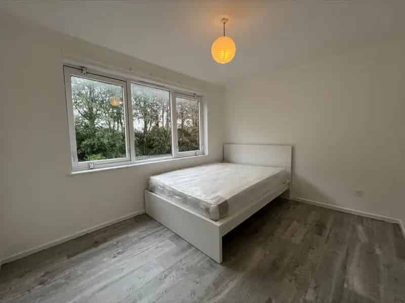 3 Bedroom House To Rent Available 08092025