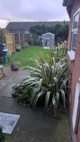 Lovely 3 Bedroom House with Big Garden and Big Rooms