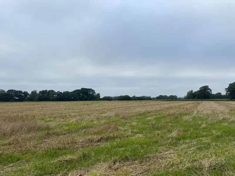 211 Acres Arable Land Shipdham Norfolk Farm Business Tenancy