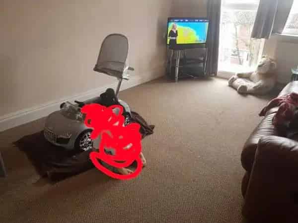 Quiet 1-Bedroom Flat near Forest Walk