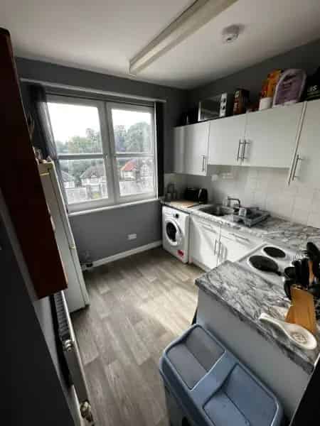 Loft Apartment with Veneer Blinds and Thick Carpet
