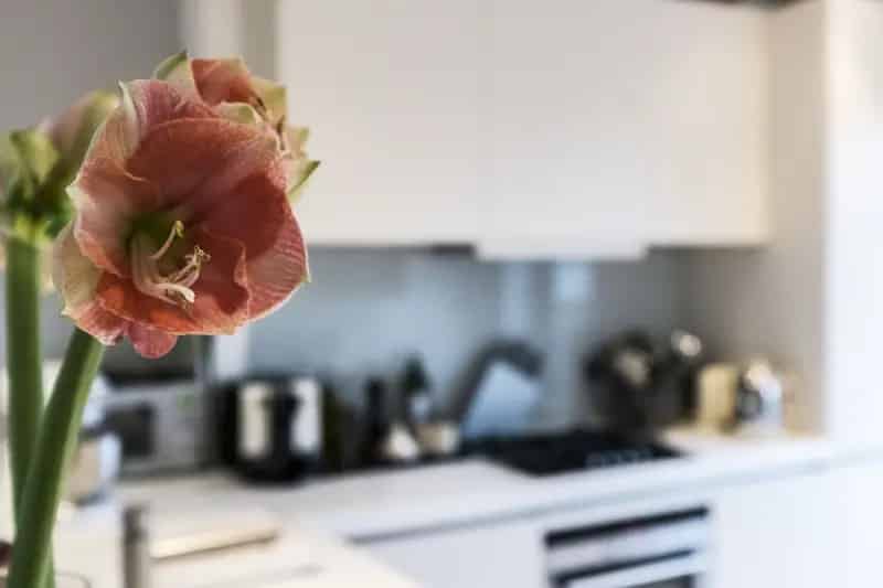 3 Bedroom Maisonette Short Let Islington