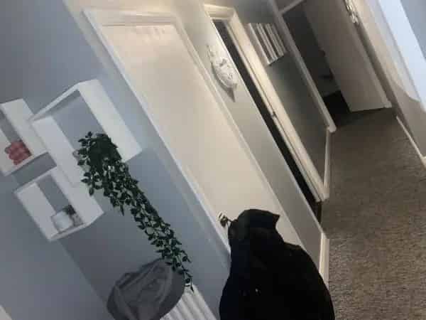 2 Bedroom Flat Greenwich - Modern Kitchen Close to Transport