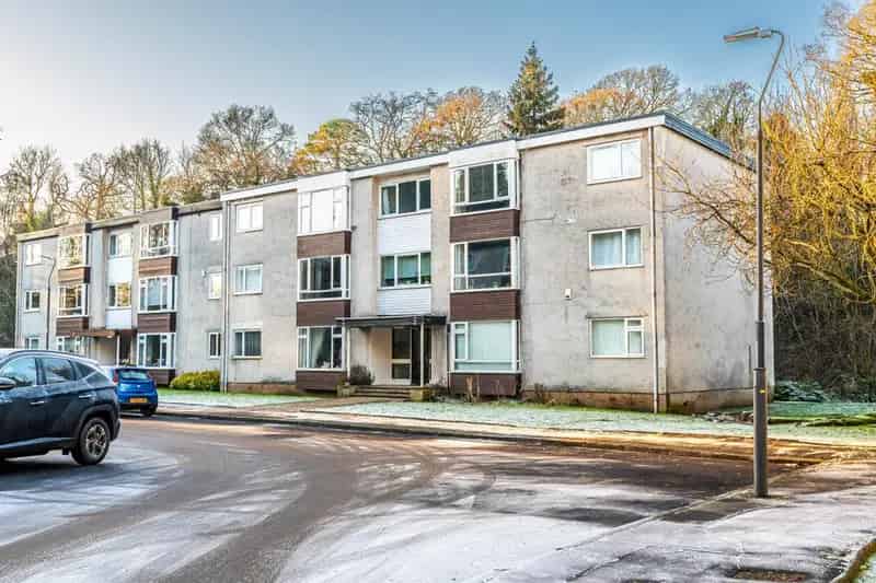 3 bedroom flat to rent