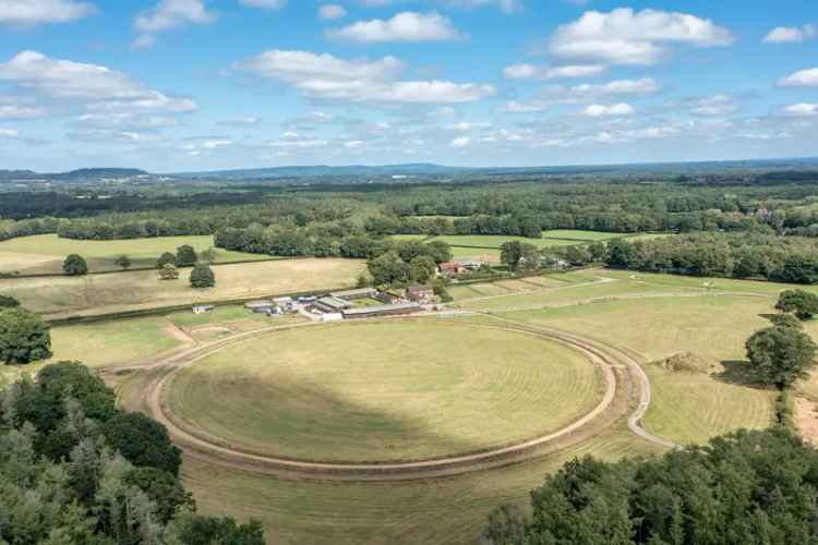 Equestrian Training Facility with 52 Stables near Chiddingfold