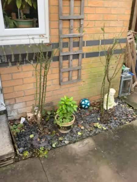 House For Rent , North Norfolk, England
