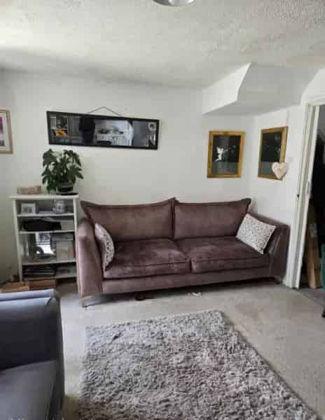 Quiet Dog-Friendly House Near Tavistock Amenities