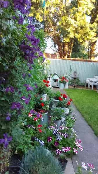 2 Bed Terrace House in St Neots