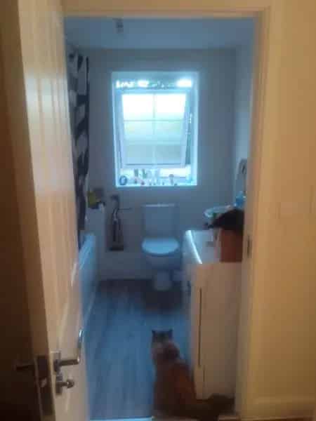 2 Bed New Build Flat Stanneylands Posh Estate Near Wilmslow
