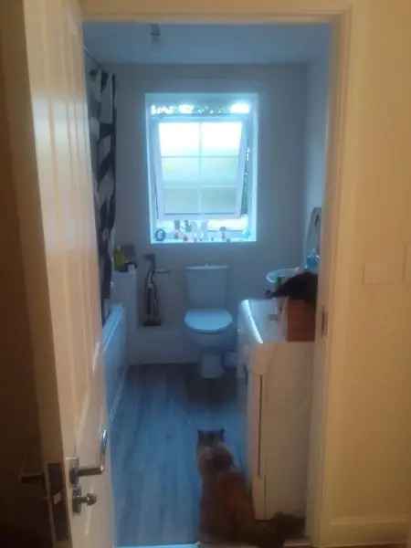 2 Bed New Build Flat Stanneylands Posh Estate Near Wilmslow