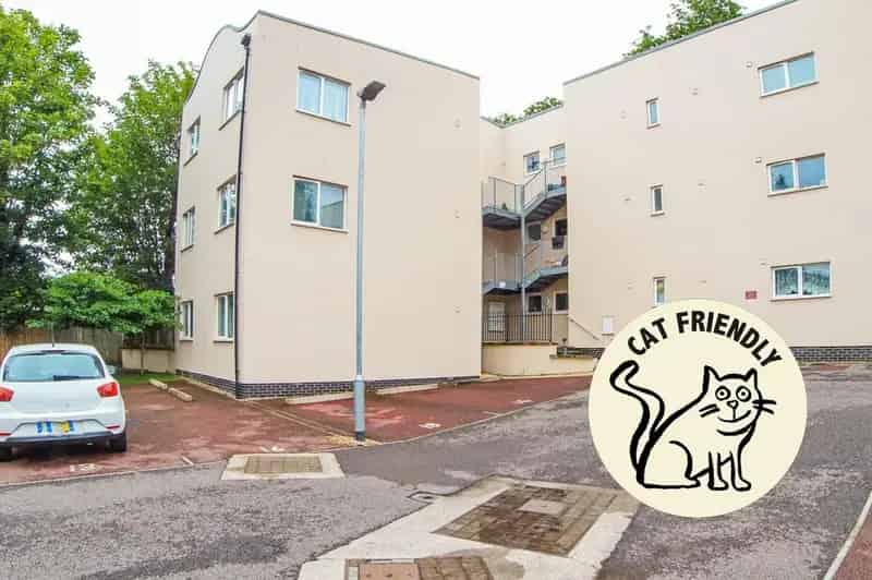 1 Bedroom Apartment to Rent