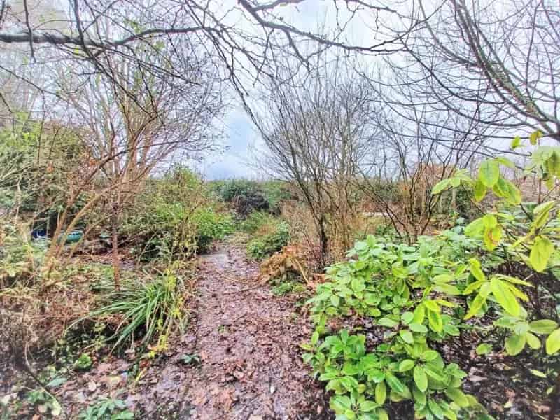 2 Bed Detached Bungalow For Sale Coxheath
