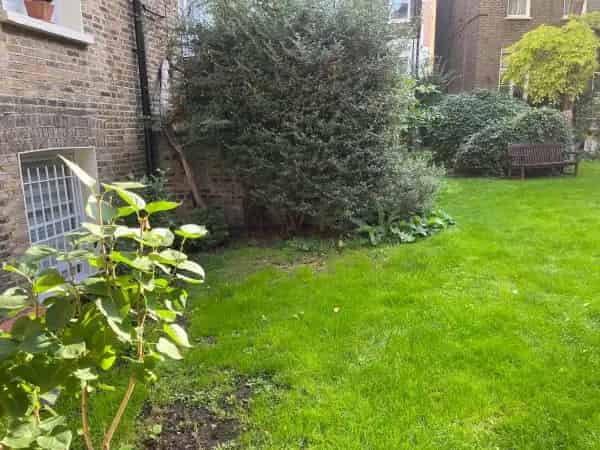 Spacious Home with New Kitchen and Huge Garden