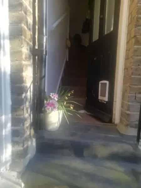 Flat For Rent , London, England