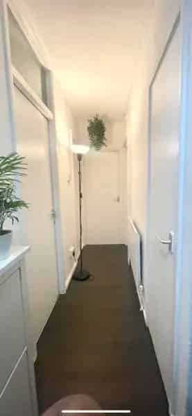 Brockley Flat: Safe Zone 2 Victorian Conversion Near Transport
