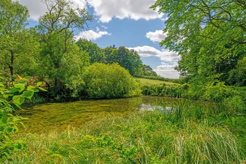 6-Bedroom Detached House with 4.3-Acre Plot and Annexe