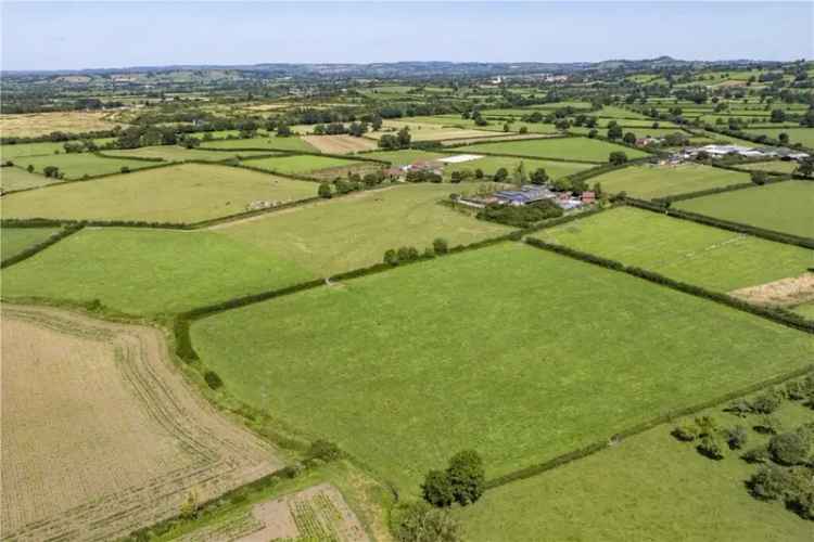 44.45 Acres Pastureland for Sale Thornymarsh Lane Somerset