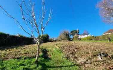  For Sale in East Devon, England