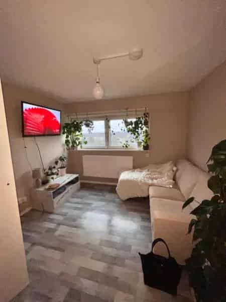 Lovely Studio Flat with Separate Living and Kitchen Areas