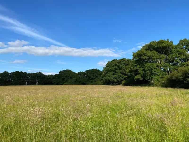14.08 Acres Pasture Land near Wineham West Sussex