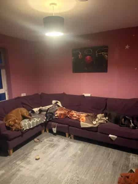 One Bedroom Flat with Free Parking