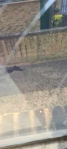 2 Bedroom House Near Borough and London Bridge Station