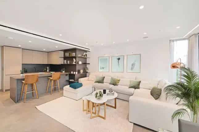 Luxury Flat Buckingham Palace Road London SW1W