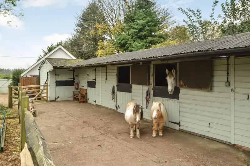 Farm House for Sale 4 Bedrooms Hambledon Hampshire