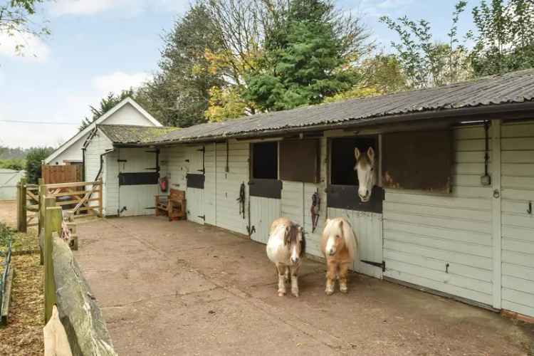 Farm House for Sale 4 Bedrooms Hambledon Hampshire