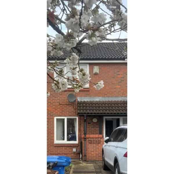 2 Double Bedroom House Driveway Garden Country Park Near New Bathroom