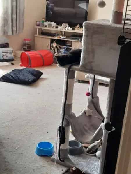 Lovely Flat Big Living Room Double Bedroom Decent Bathroom
