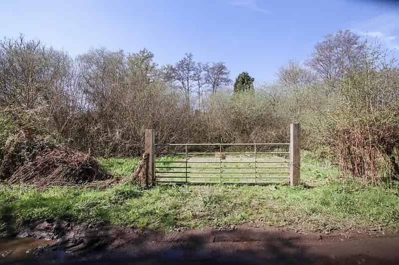 Fenced Copse near Lurgashall and Lickfold