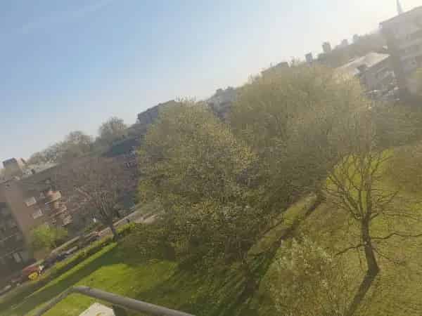 Spacious 1-Bedroom Flat near Harford Street and Milend Road