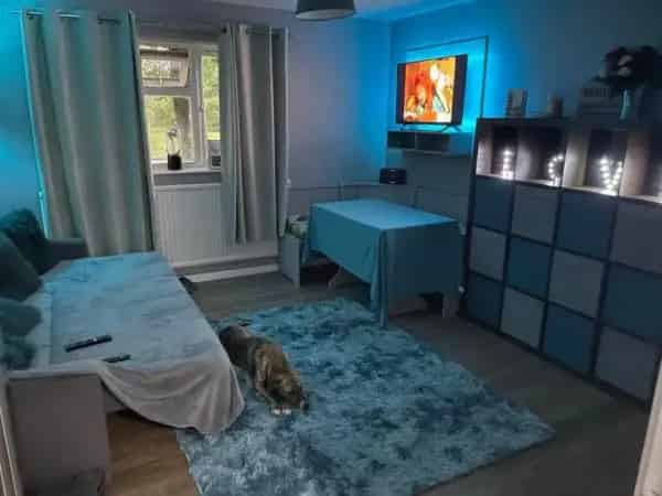Large 1 Bedroom Flat with Storage and Communal Garden