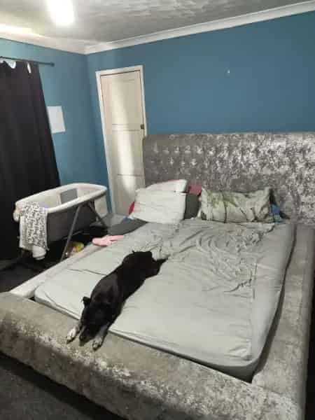 Large 2 Bed House with Big Gardens and Shed