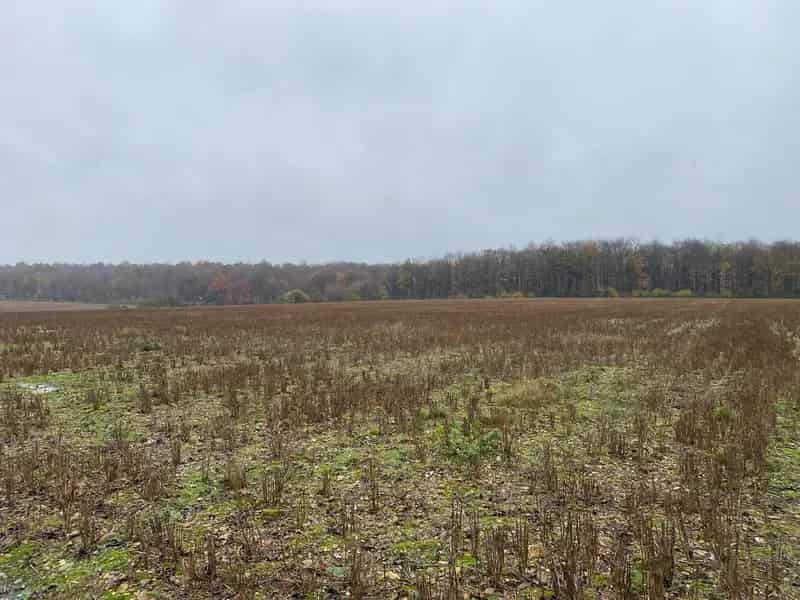 Mixed Habitat Site St Albans Three Rivers Chilterns NCA