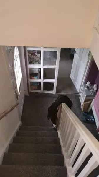 Charming 2 Bedroom House in Quiet Area Ideal for Small Family