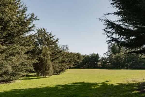 11-Acre Lifestyle Property: 3-Bed Bungalow, Annexe & Outbuildings